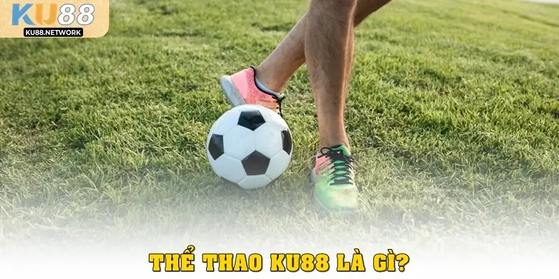 Thể thao KU88 là gì? 